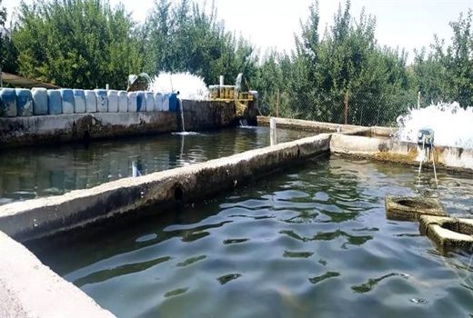 صدور نخستین مجوز فعالیت مجتمع خدمات رفاهی بین راهی در مزارع آبزی پروری استان آذربایجان شرقی