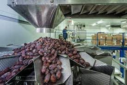 صدور دو فقره مجوز موافقت اولیه طرح صنعتی کشاورزی در اهواز