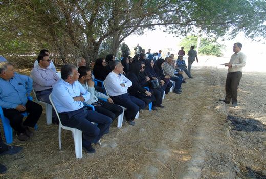 برگزاری پنجمین کاروان ترویج بهره وری ویژه الگوی کشت ملی در بوشهر