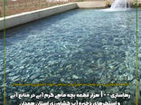 رهاسازی ۱۰۰ هزار قطعه بچه ماهی گرم آبی در همدان