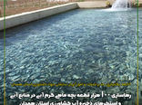 رهاسازی ۱۰۰ هزار قطعه بچه ماهی گرم آبی در همدان