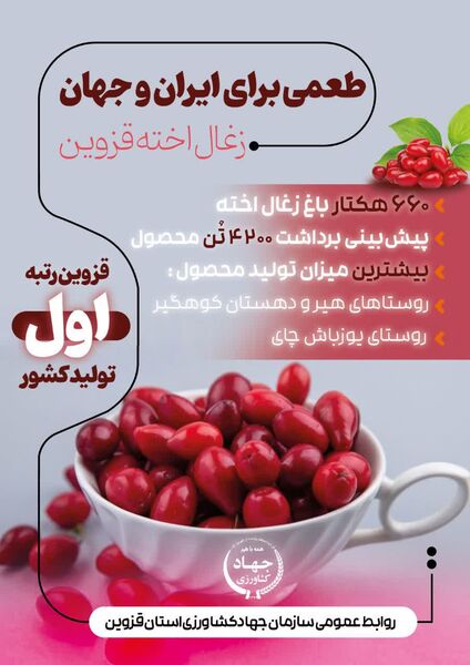  اینفوگرافی | طمعی برای ایران و جهان ، زغال اخته قزوین 