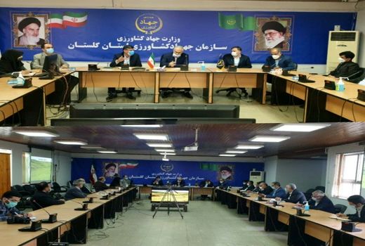 برگزاری جلسه هماهنگی و هم اندیشی رئیس سازمان جهادکشاورزی استان گلستان با دادستان دیوان محاسبات کشور