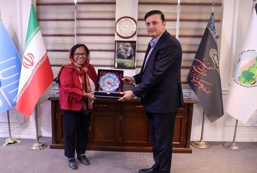 آماده همکاری مشترک با دفتر برنامه توسعه سازمان ملل متحد هستیم