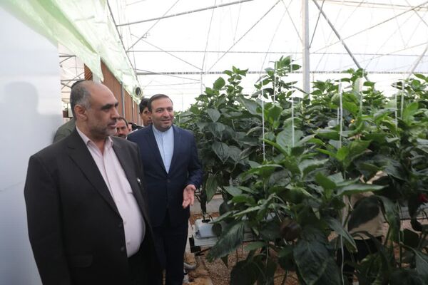 بازدید طرح‌های کشاورزی شهرستان بیضا برنامه نخست وزیر جهادکشاورزی در فارس