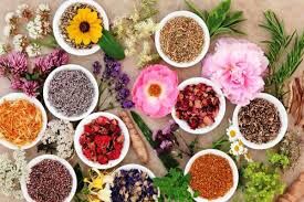 کِشت ۷۵ درصد از گونه‌های گیاهان دارویی ایران در استان اصفهان