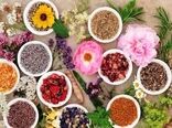 کِشت ۷۵ درصد از گونه‌های گیاهان دارویی ایران در استان اصفهان