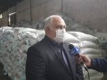 آغاز توزیع بذر گواهی شده برنج در گیلان 