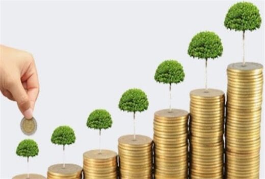 دریافت تسهیلات طرح‌های تولیدی کشاورزی خراسان جنوبی از صندوق توسعه ملی