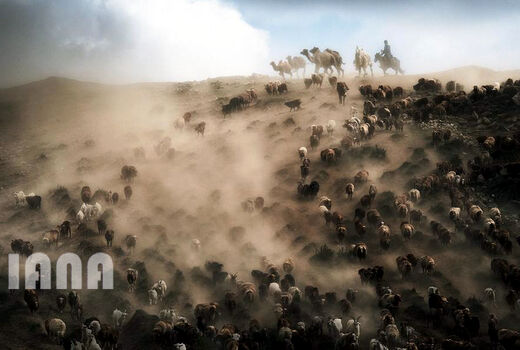 گله‌داری در شمال چین