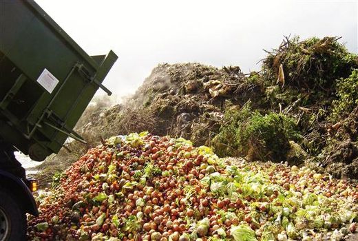 تولید محصولات فرآوری شده از ضایعات کشاورزی