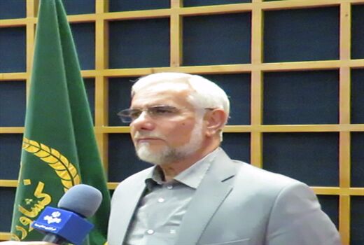استان بوشهر در تولید بذر گندم خودکفا گردید