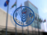 آغاز ثبت‌نام مجازی در ششمین مجمع جهانی غذا (12 تا 16 اکتبر 2026)