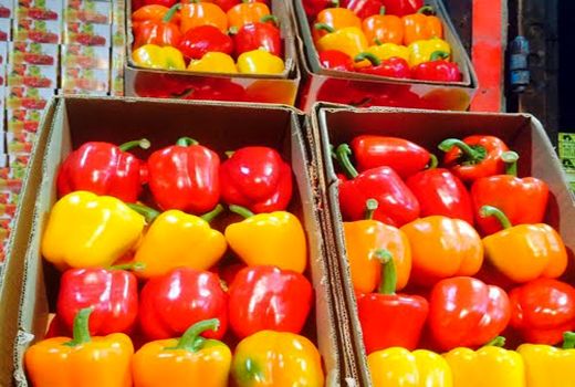 سم شایعات علیه امنیت غذایی کشور