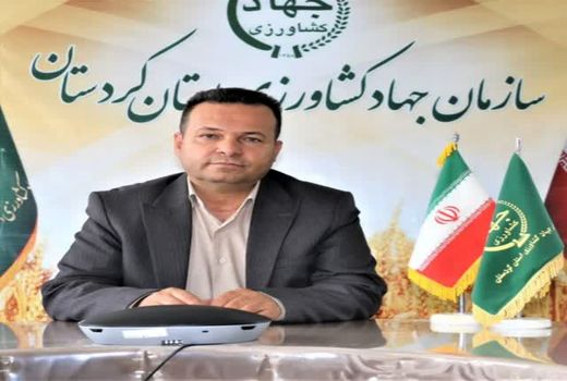 زمزمه‌های خرید تضمینی بیش از یک میلیون تن گندم در کردستان