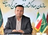 زمزمه‌های خرید تضمینی بیش از یک میلیون تن گندم در کردستان