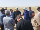 بازدید سرپرست سازمان جهاد کشاورزی آذربایجان‌غربی از شبکه‌های فرعی آبیاری و زهکشی شمال استان