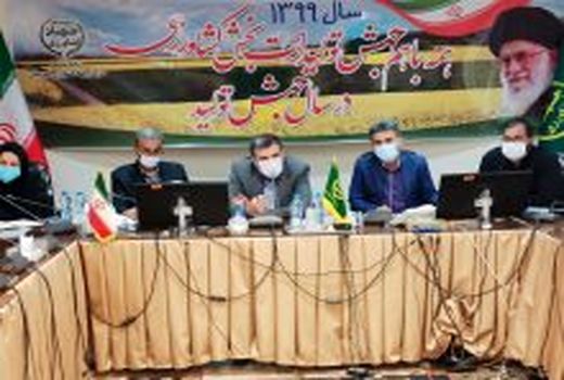 کشت پائیزه با هدف دستیابی به افزایش ضریب خوداتکایی گندم در خوزستان