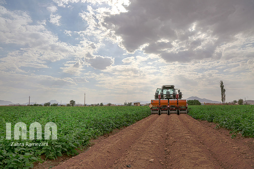 خلاقیت کشاورز خمین برای صرفه جویی آب