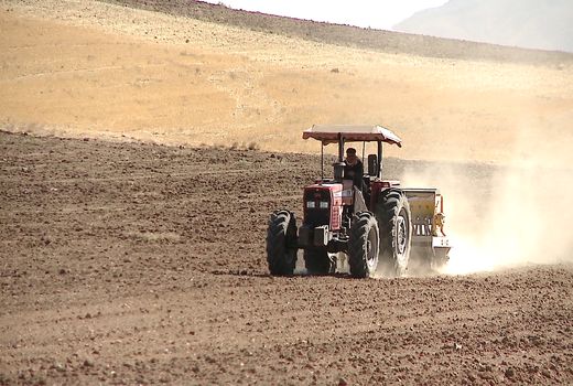 پاییز فصل طلایی کشاورزی ایران در دل کم‌آبی است