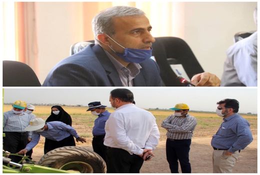 طراحی و ساخت دستگاه کاشت مستقیم غلات آبی در خوزستان  