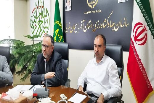 3 هزار و 500 همت ارزش افزوده صندوق حمایت از توسعه بخش کشاورزی برای جامعه تولید کنندگان کشور