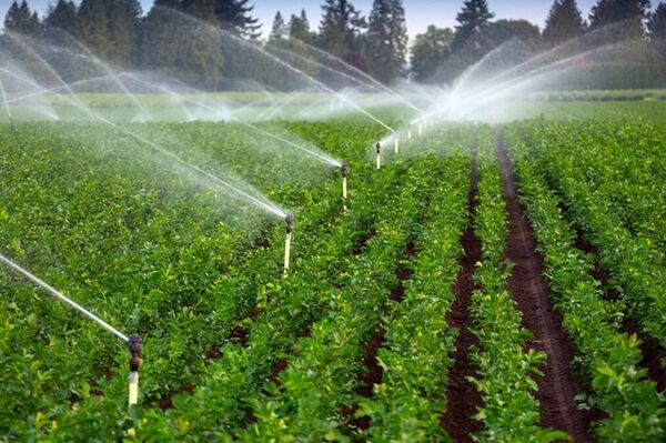 اجرای سیستم‌های نوین آبیاری در اراضی اصفهان
