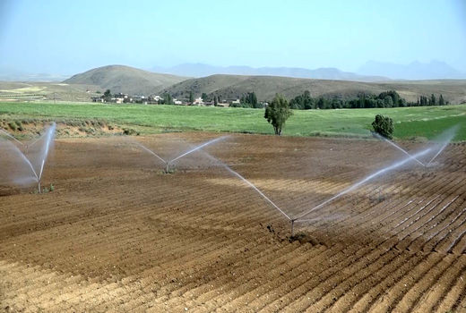 کشاورز بویین میاندشتی، مجری نمونه آبیاری نوین