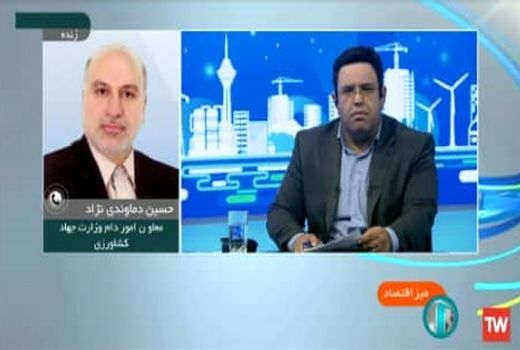 قیمت تخم مرغ درب مرغداری 35 هزار و 800 تومان است