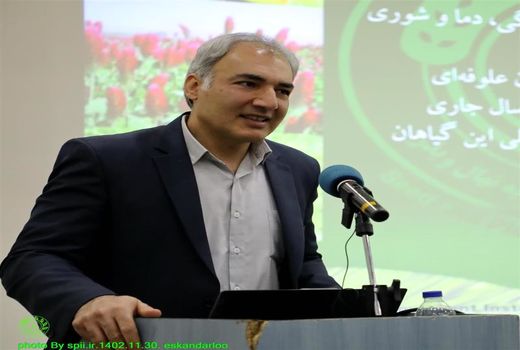 امکان تأمین انواع بذر ذرت بیش از نیاز کشور فراهم شد