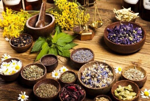 گیاهان دارویی ظرفیتی عظیم برای تحقق جهش تولید
