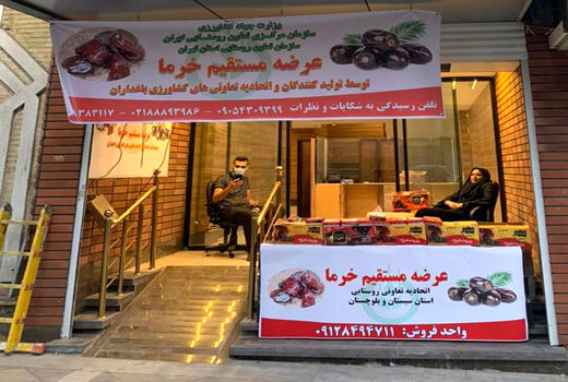 عرضه مستقیم خرمای نخلکاران سیستان و بلوچستان در شهر تهران