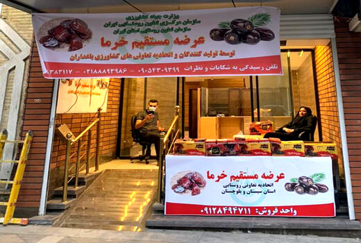 عرضه مستقیم خرمای نخلکاران سیستان و بلوچستان در شهر تهران