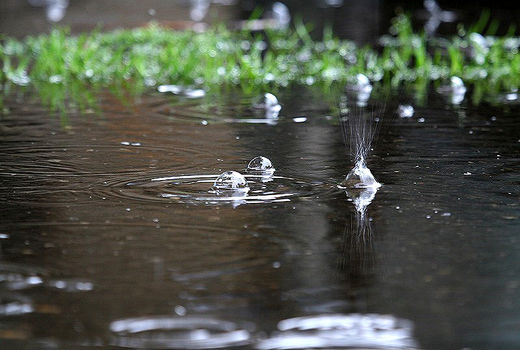 توصیه‌های هواشناسی کشاورزی تا هفتم اردیبهشت‌ماه 