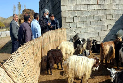 برگزاری برنامه های آموزشی و ترویجی درجهت توانمندسازی بهره برداران کشاورزی در خداآفرین