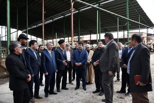 بازدید رئیس سازمان جهاد کشاورزی استان از گاوداری دچار حریق شده در آذرشهر 