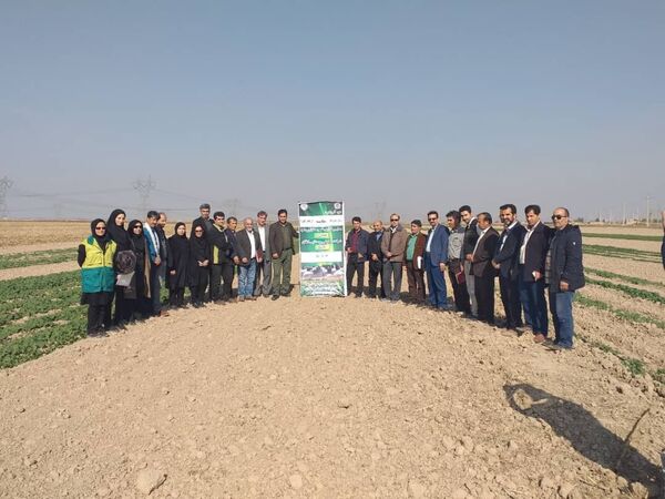 ارقام داخلی و وارداتی تفاوتی با هم ندارند