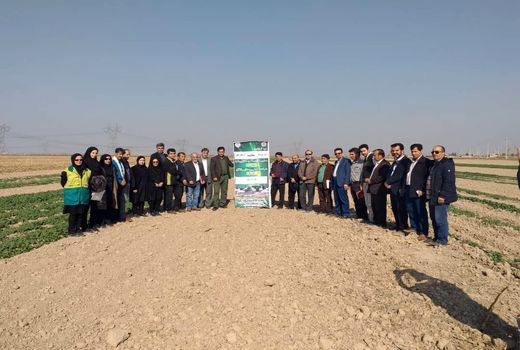 ارقام داخلی و وارداتی تفاوتی با هم ندارند