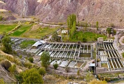تکمیل زنجیره آبزی پروری گامی در جهت خودکفایی
