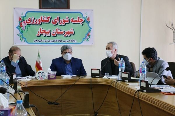 ۴۴۷ هزار هکتار از اراضی دیم کردستان مستعد آبی هستند