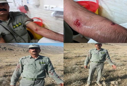 حمله پلنگ به محیط بان پارک ملی بمو