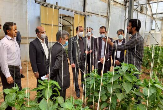 تجهیز و نوسازی شهرک گلخانه ای دیناروند در دستور کار قرار گرفت