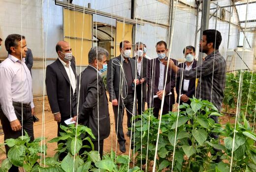 تجهیز و نوسازی شهرک گلخانه ای دیناروند در دستور کار قرار گرفت
