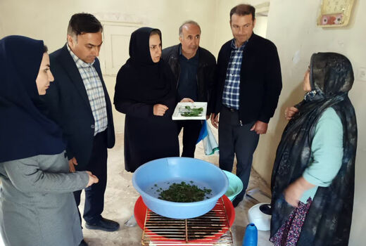 توزیع ۶۰ جعبه تخم کرم ابریشم بین نوغانداران  روستای قولان جلفا