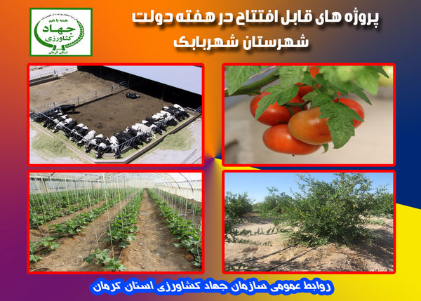 بهره‌برداری  از 8 طرح کشاورزی و دامپروری در شهرستان شهر بابک در هفته دولت 