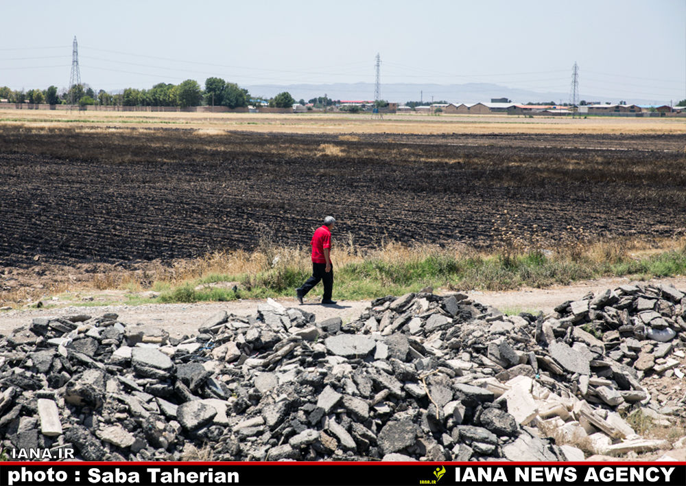 مزرعه سوخته