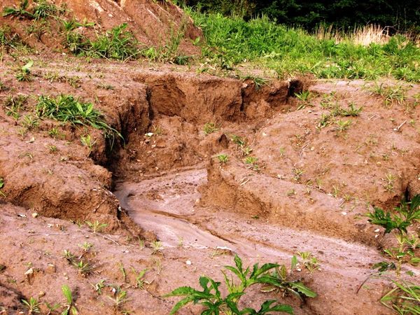 فرسایش خاک از بحرانی‌ترین خطرهای زیست‌محیطی در منطقه غرب آسیا است