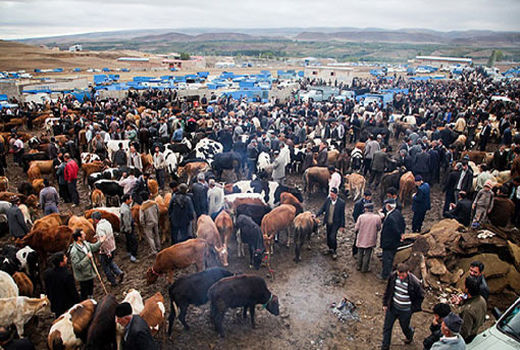 پیش بینی آرامش بازار مواد پروتئینی در شهرستان اهر در ایام نوروز 1399  