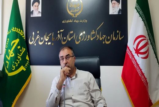 آذربایجان‌غربی، تأمین‌کننده ۳۵ درصد چغندرقند کشور