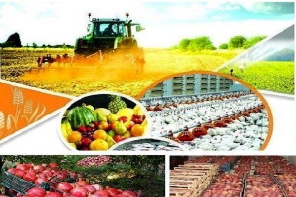 قرارگاه امنیت غذایی در سازمان جهاد کشاورزی آذربایجان غربی ایجاد می شود